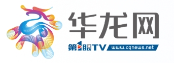 华龙网