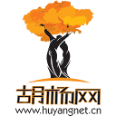 兵团胡杨网